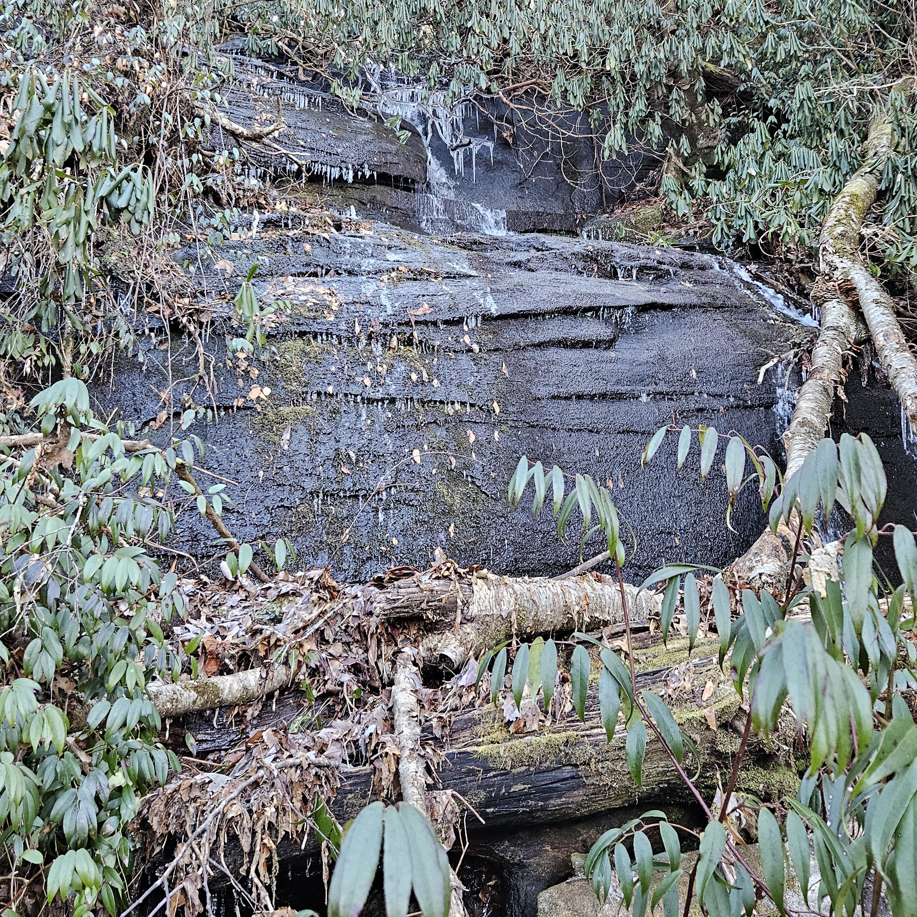 1017 – Faux Diamond Falls* – HikingWNC